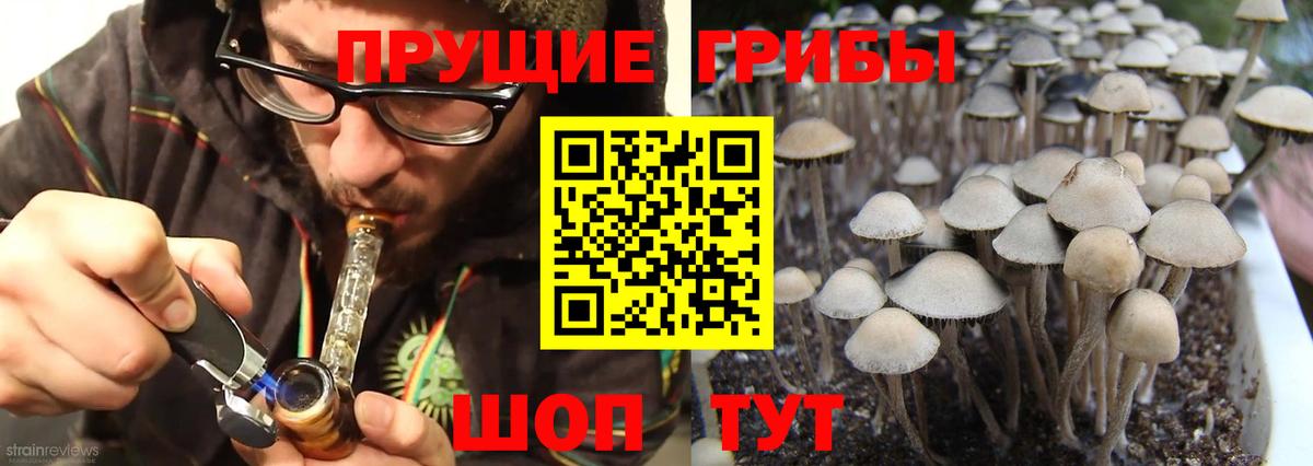 Гурьевск  Псилоцибиновые грибы прущие грибы  Вход с VPN 